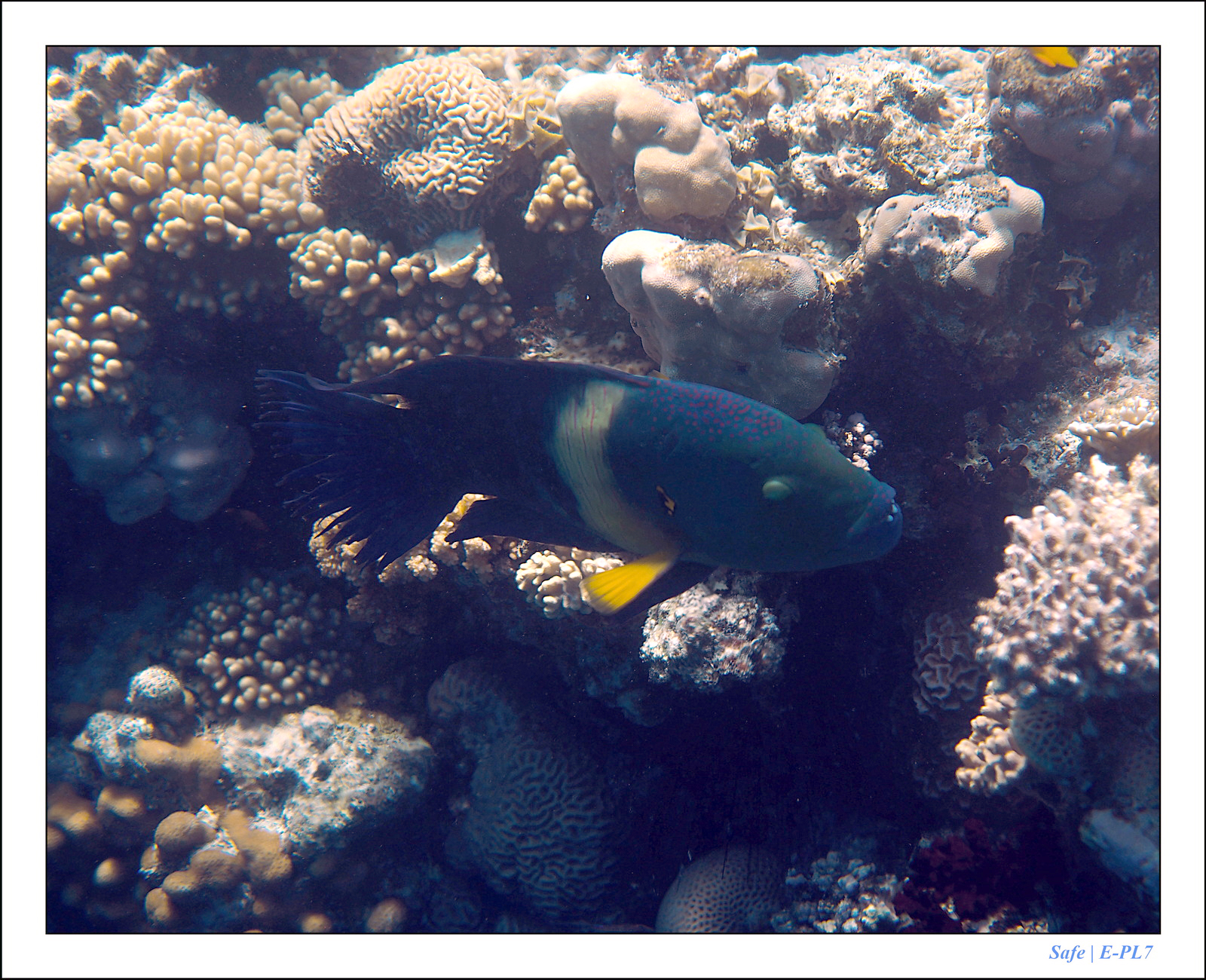 Hurghada - Juillet 2021 - 027